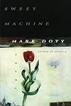 Sweet Machine