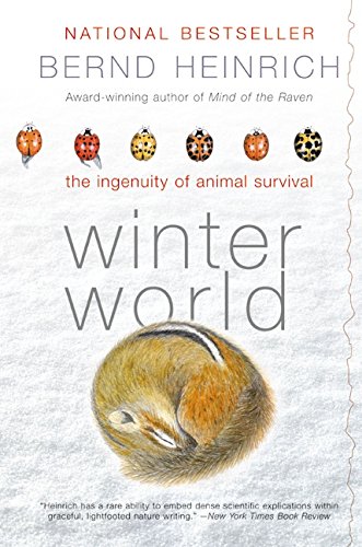 Winter World book cover