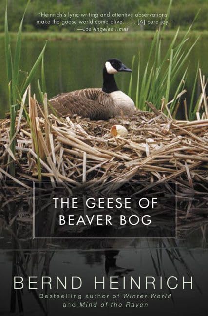 The Geese of Beaver Bog book cover