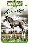 The Lost Foal