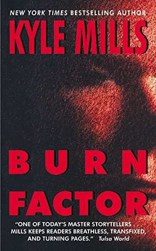 Burn Factor book cover