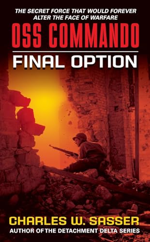 Final Option book cover