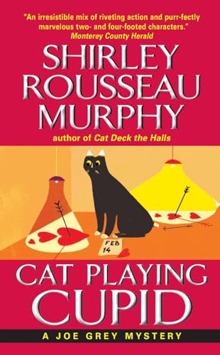 Cat Playing Cupid book cover