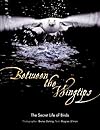 Between the Wingtips: The Secret Life of Birds