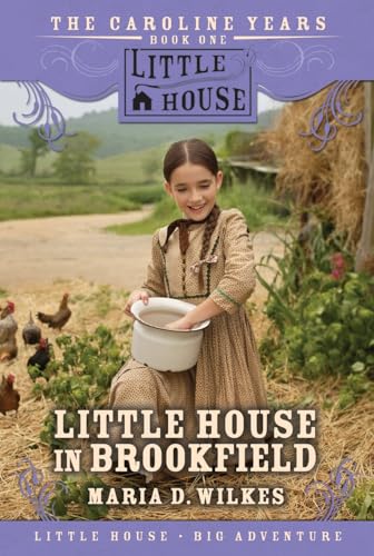 Little House in Brookfield cover