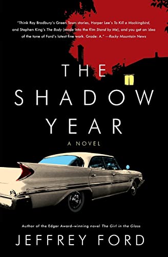 The Shadow Year book cover