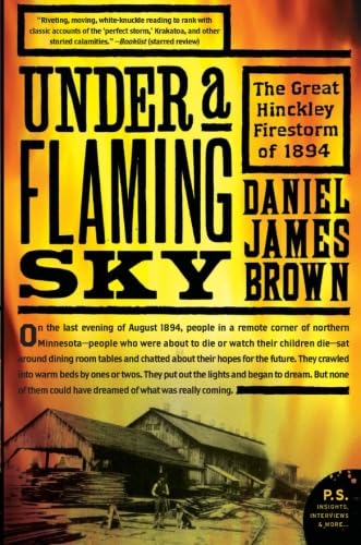 Under a Flaming Sky book cover
