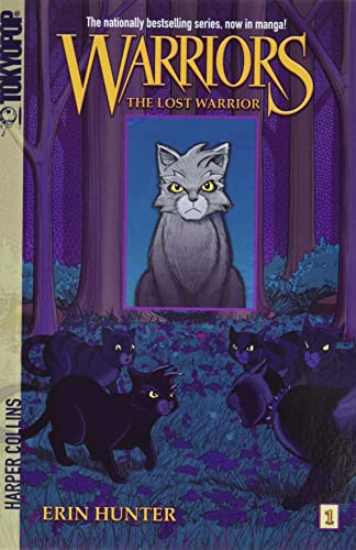 The Lost Warrior cover