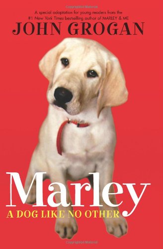 Marley: A Dog Like No Other book cover