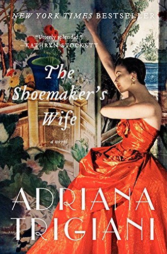 The Shoemaker's Wife book cover
