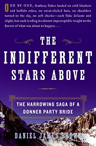 The Indifferent Stars Above book cover