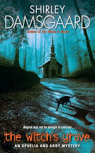 The Witch's Grave book cover