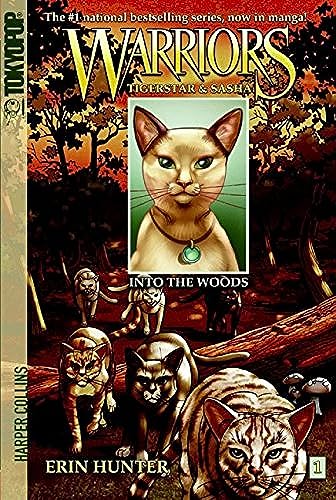 Into the Woods book cover