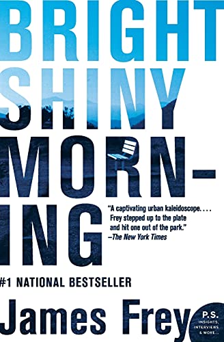 Bright Shiny Morning book cover