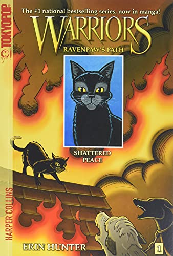 Shattered Peace book cover