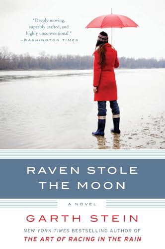 Raven Stole the Moon book cover