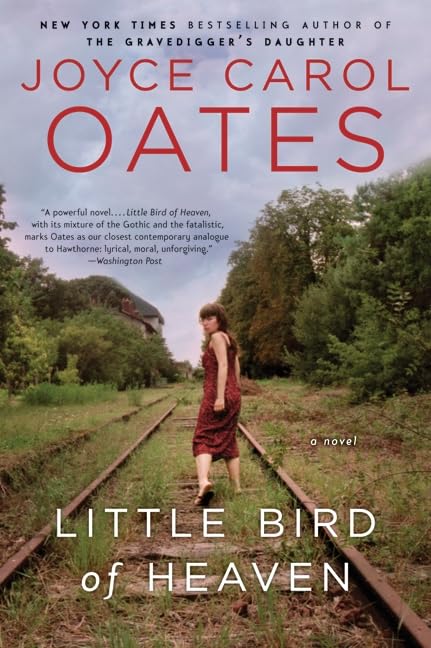 Little Bird of Heaven book cover