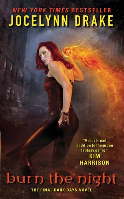 Burn the Night book cover
