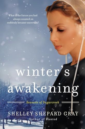 Winter's Awakening book cover