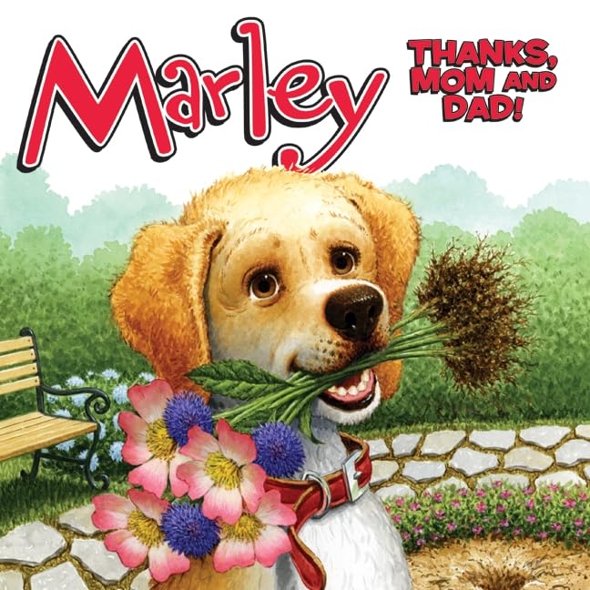 Thanks, Mom and Dad! book cover