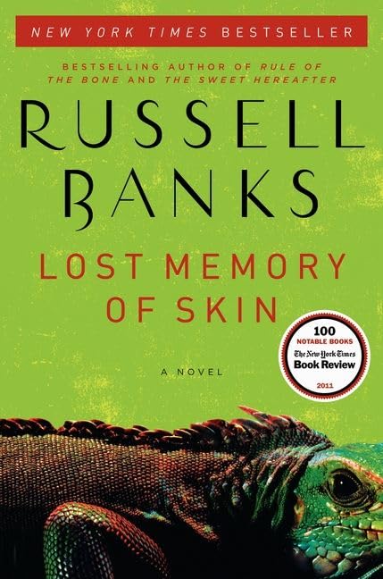 Lost Memory of Skin book cover