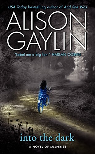Into the Dark book cover