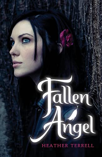 Fallen Angel book cover