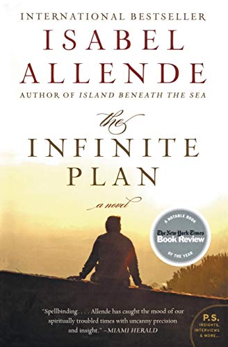 The Infinite Plan book cover