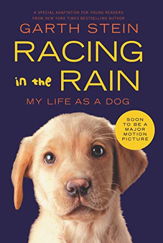 Racing in the Rain book cover