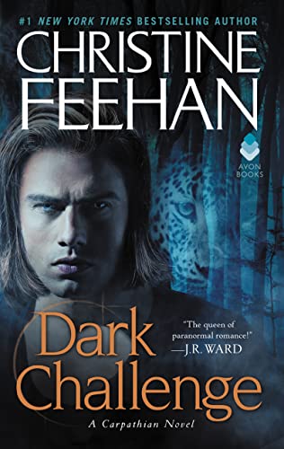Dark Challenge book cover