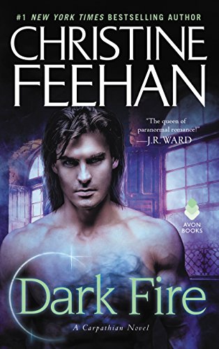 Dark Fire book cover