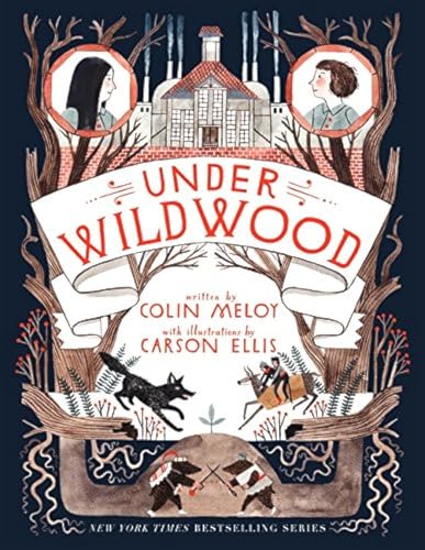 Cover of Under Wildwood
