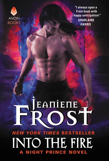 Into the Fire book cover