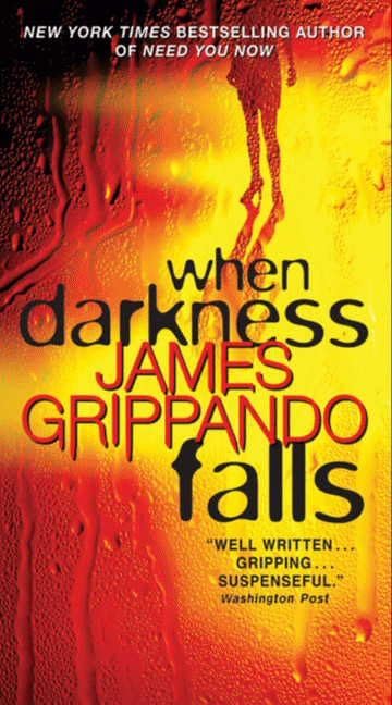 When Darkness Falls book cover