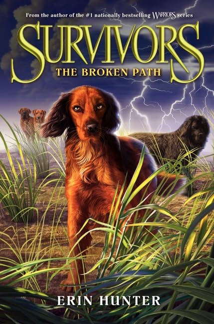 The Broken Path book cover