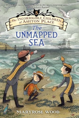 The Unmapped Sea book cover