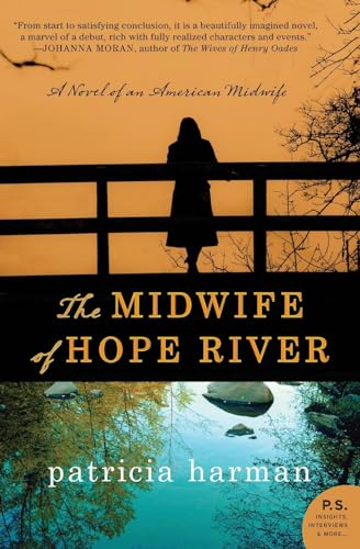 The Midwife of Hope River book cover