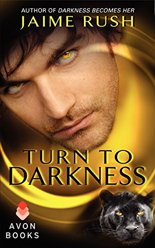 Turn to Darkness book cover