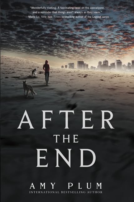 After the End book cover