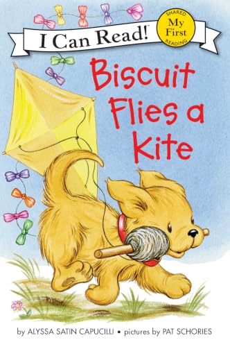 Cover of Biscuit flies a kite