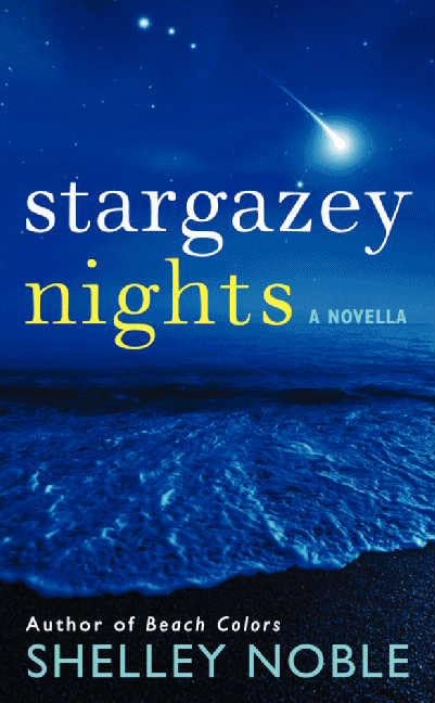 Stargazey Nightsla book cover