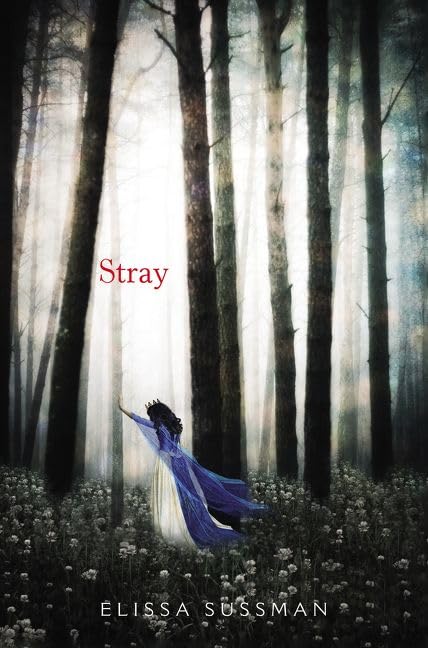 Stray book cover