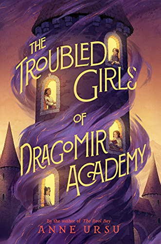 The Troubled Girls of Dragomir Academy book cover
