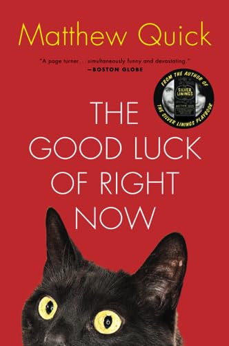 The Good Luck of Right Now book cover
