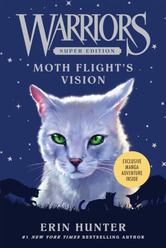 Moth Flight's Vision book cover