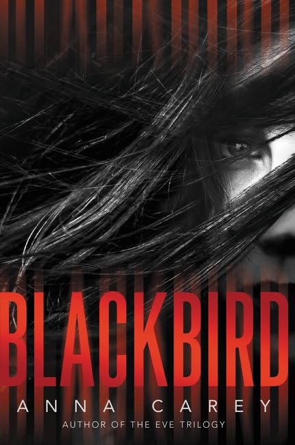 Blackbird book cover