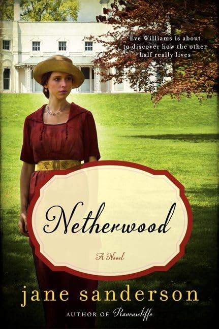 Netherwood book cover