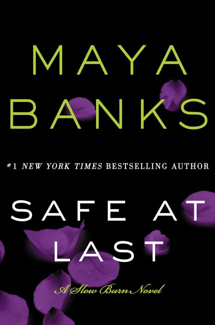 Safe at Last book cover