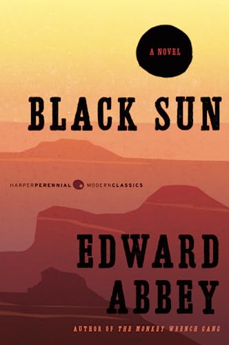 Black Sun book cover