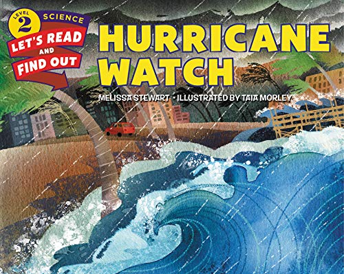 Hurricane Watch book cover